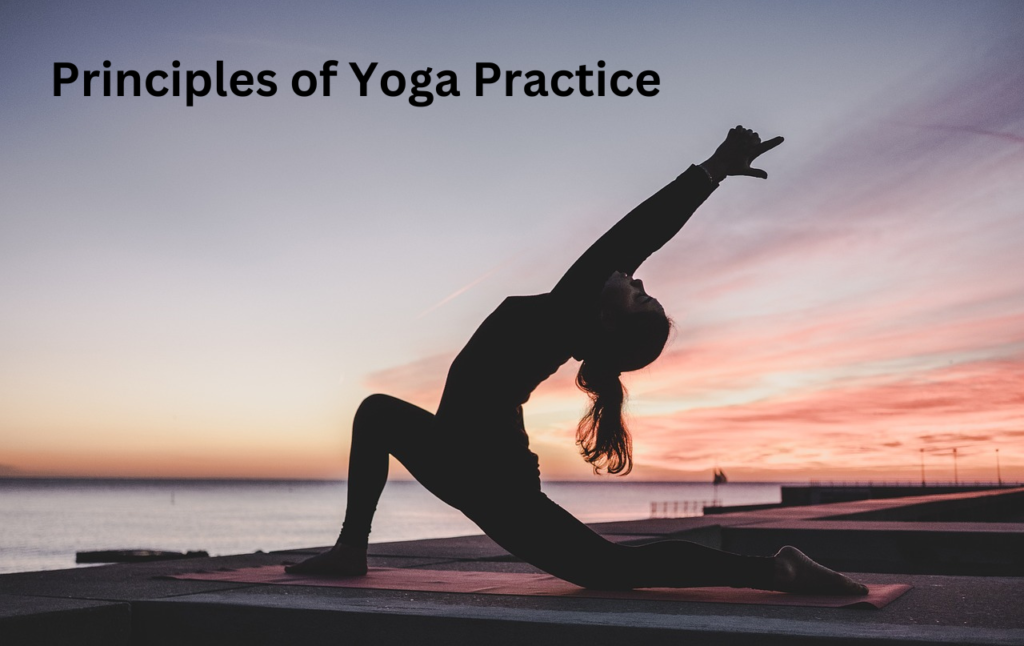 Principles of Yoga Practice - Yoga The Joy Of Life