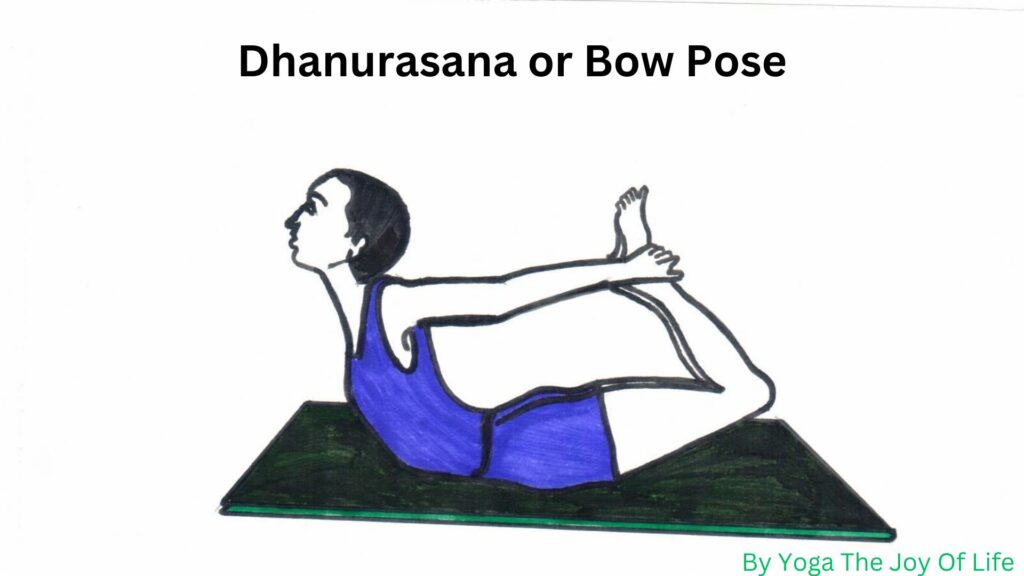 Dhanurasana or Bow Pose