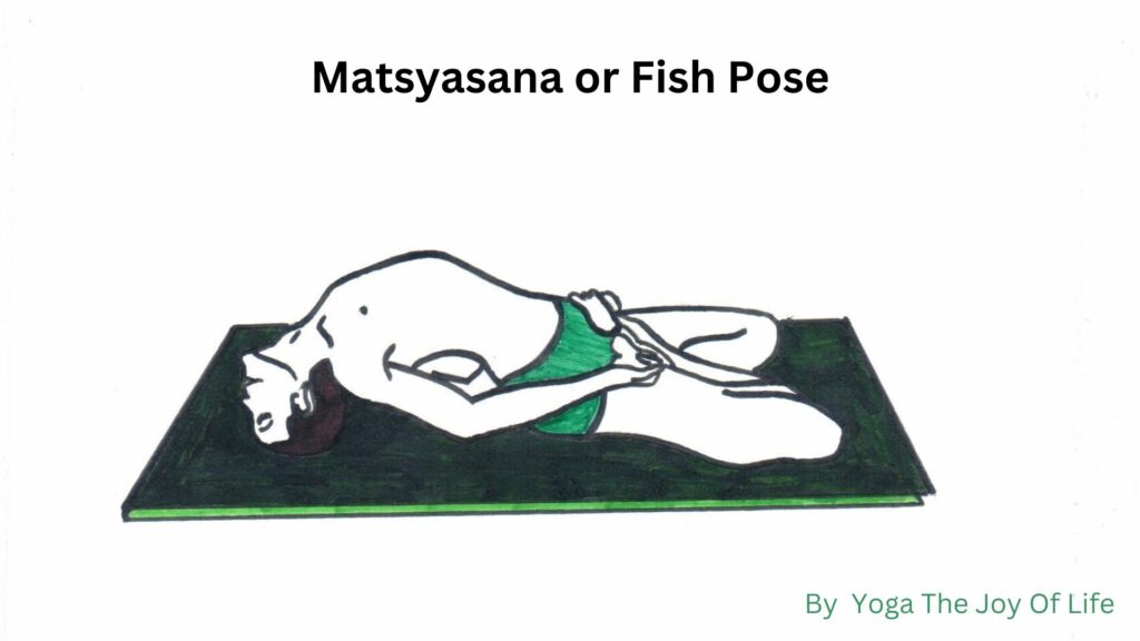 Matsyasana or Fish Pose
